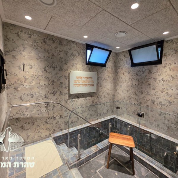 gallery picture